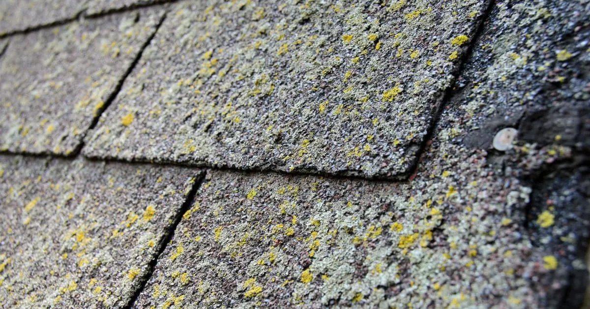 Premium roofing material selection and comparison