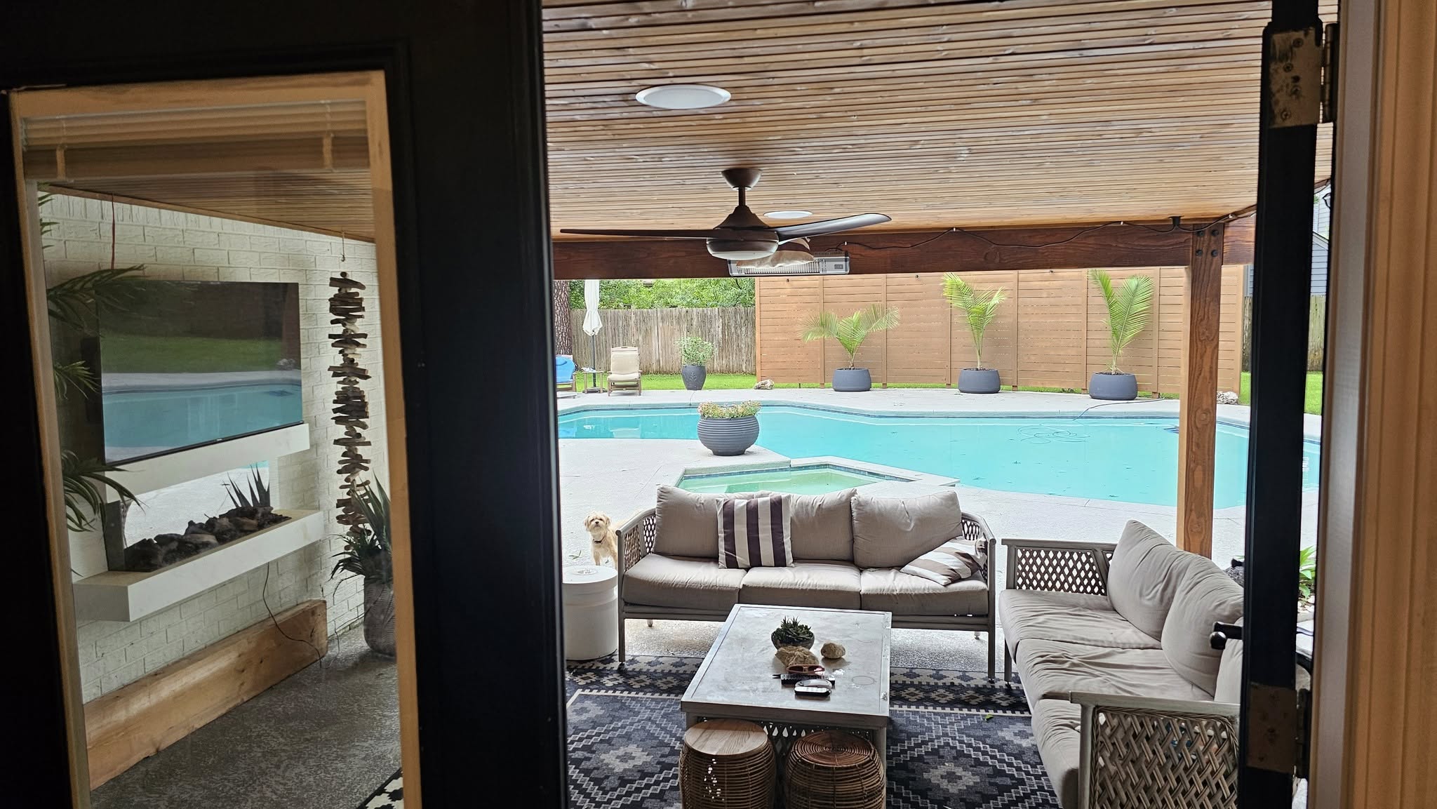 A dog sits on a patio with a pool, furniture, and a TV.