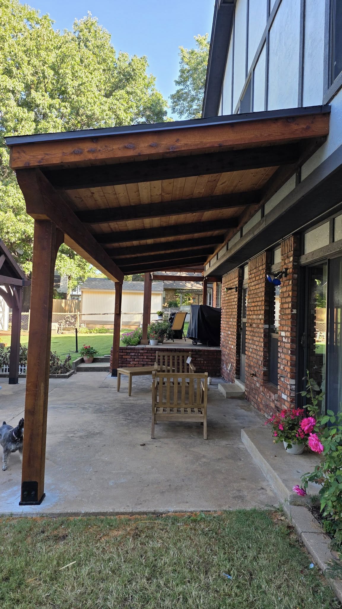 A dog stands on a patio under a wooden pergola next to a brick house.